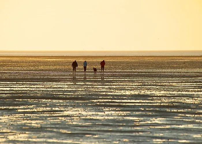 Nordkoenig Mit Sauna Und Whirlpool 公寓 Langen (Cuxhaven)